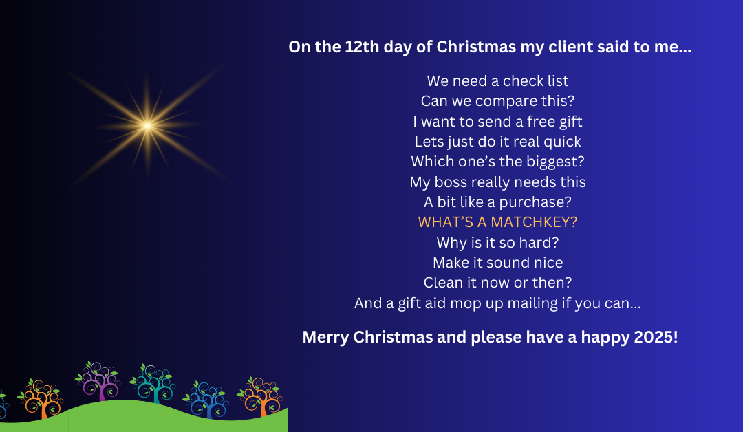 The 12 blogs of Christmas