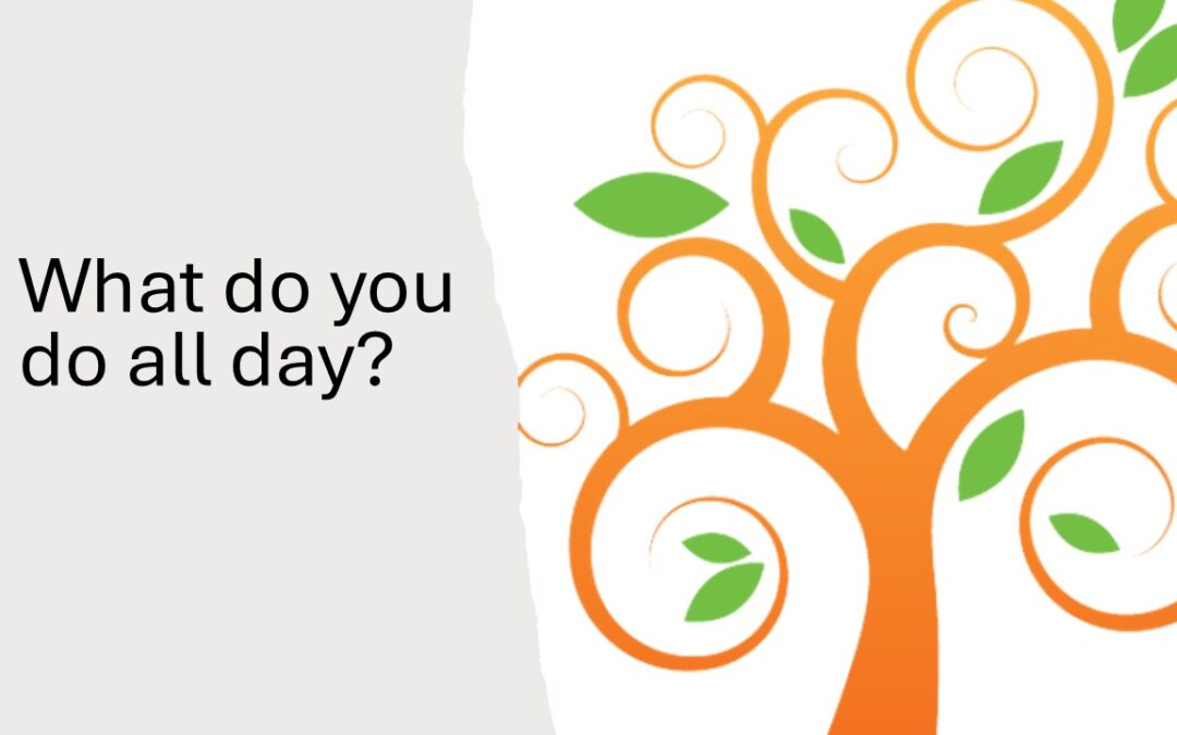 What do you do all day?